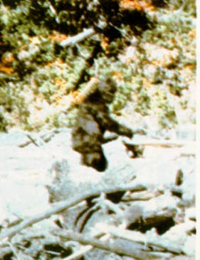 bigfoot